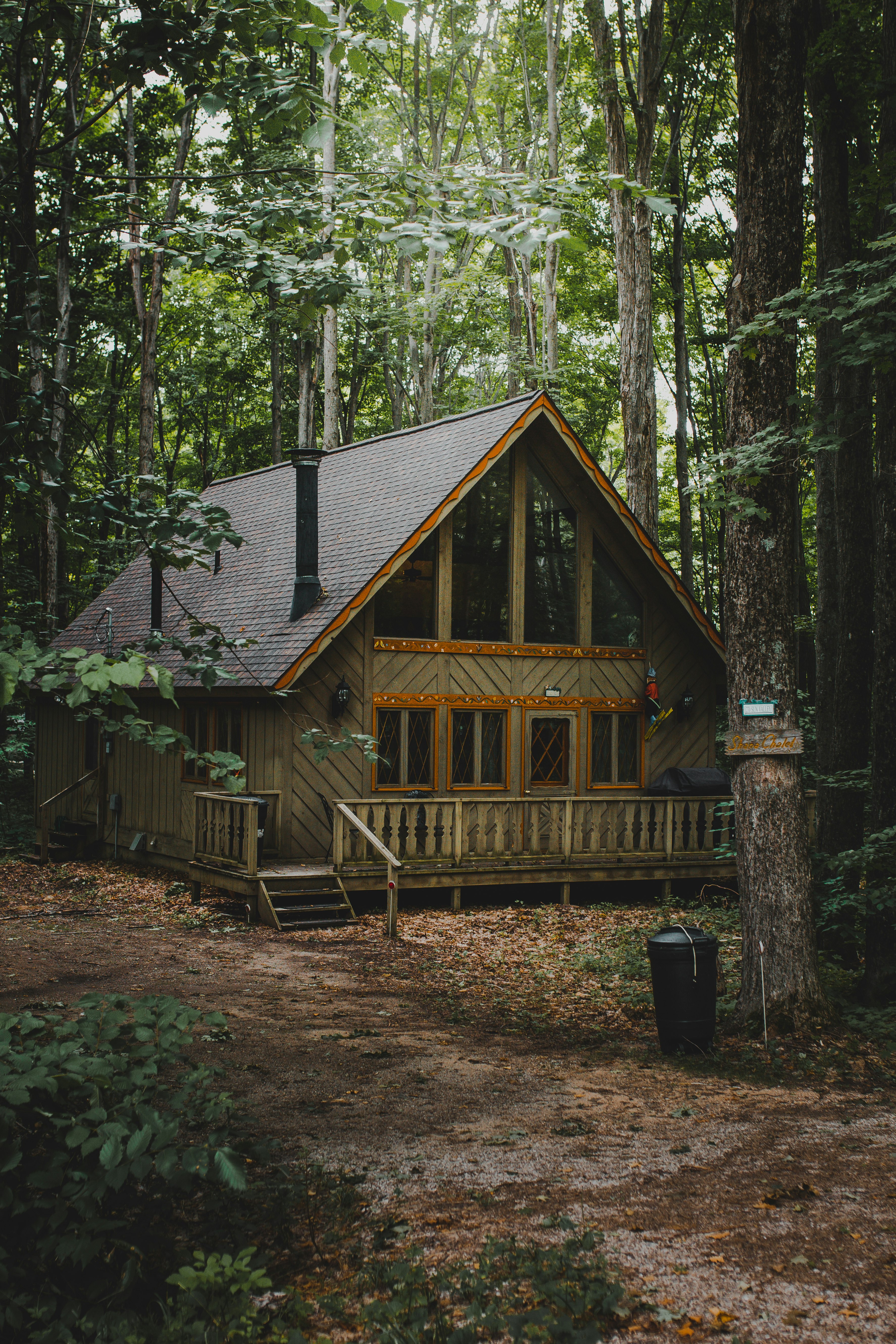 brown wooden house in forest during daytime